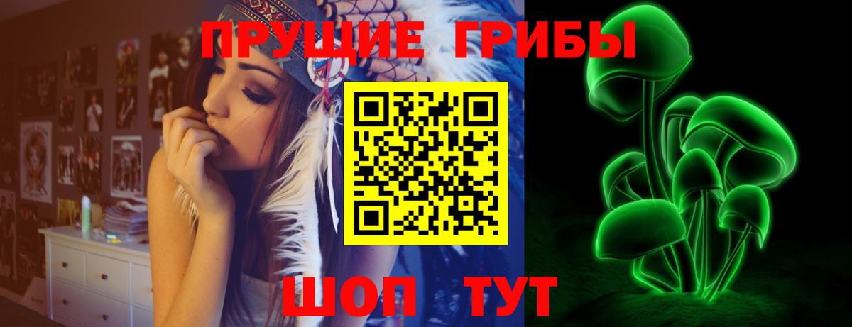 Псилоцибиновые грибы Psilocybine cubensis Рассказово